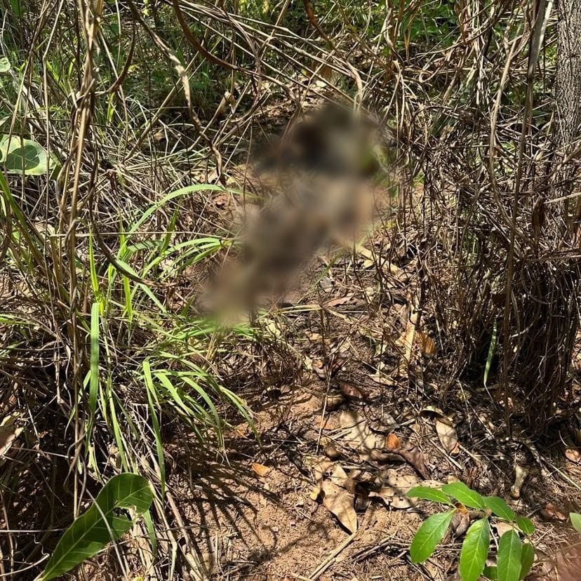 Ossada humana é encontrada às margens da BR-153