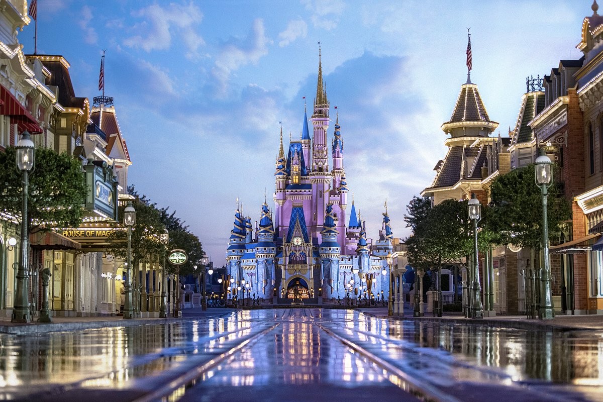 ‘Visita’ inusitada de urso fecha áreas de parque da Disney nos EUA e gera memes