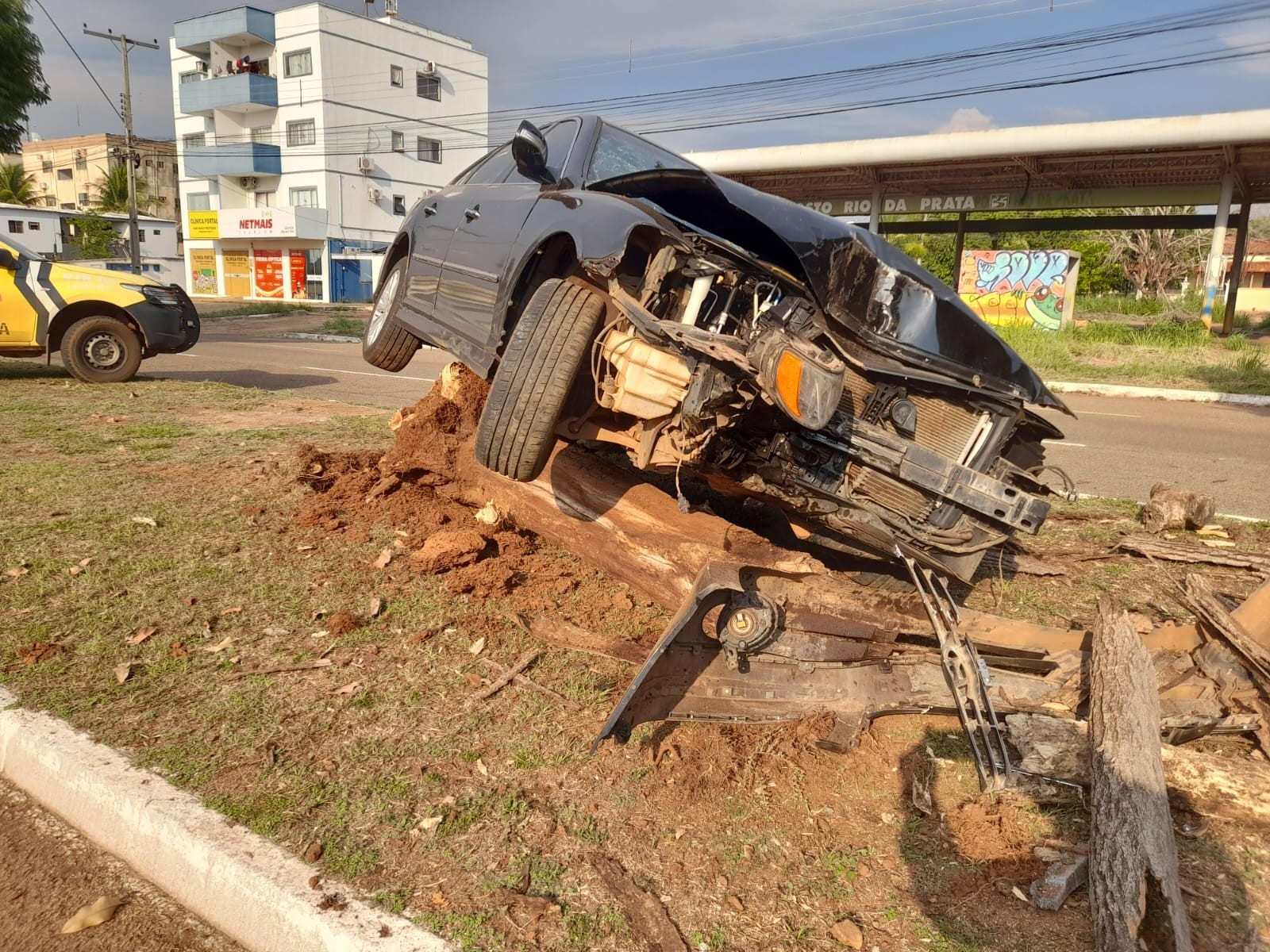 Motorista perde o controle, derruba árvore e carro fica preso em cima de tronco