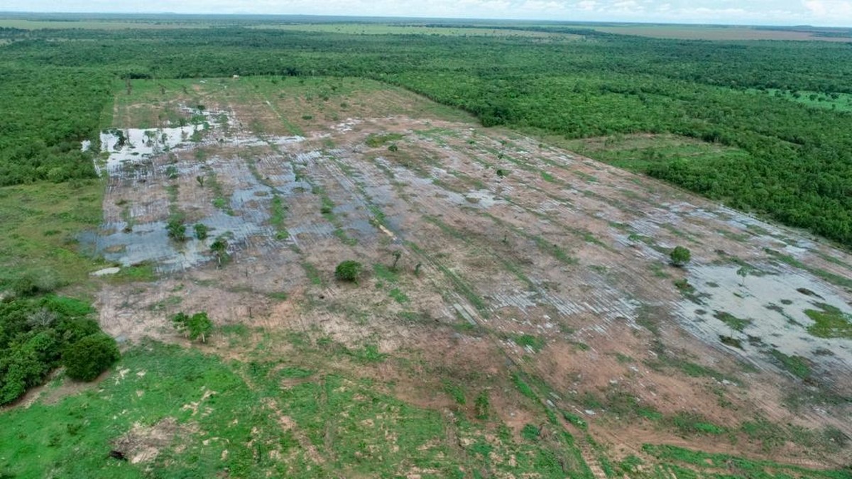Governo assina pacto para acabar com o desmatamento ilegal no Tocantins até 2030