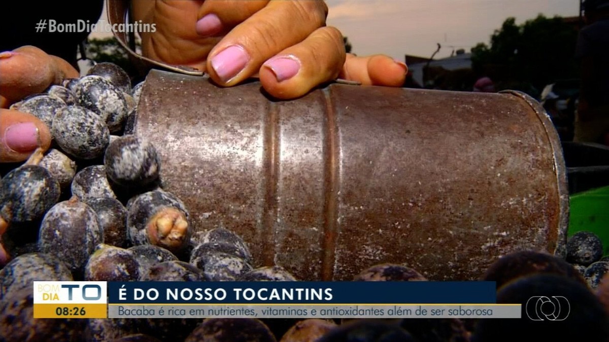 Você sabe o que é bacaba? Fruto é rico em nutrientes e pode ser usado em bolos e sorvetes