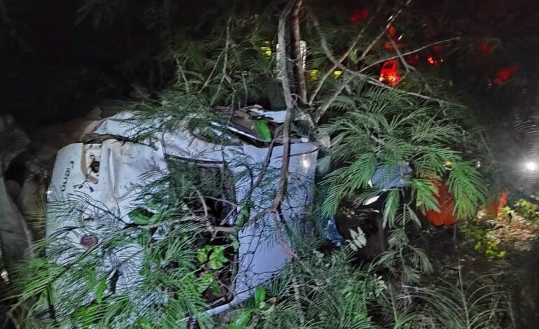 motorista-fica-ferido-apos-carro-capotar-e-parar-em-meio-a-arvores-as-margens-da-to-335