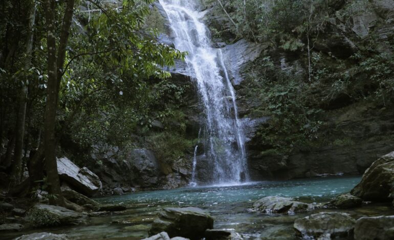 governo-relanca-quilombo-das-americas-com-foco-ambiental