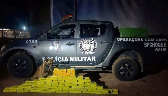 caes-treinados-pela-policia-militar-localizaram-quase-duas-toneladas-de-drogas-em-dois-anos