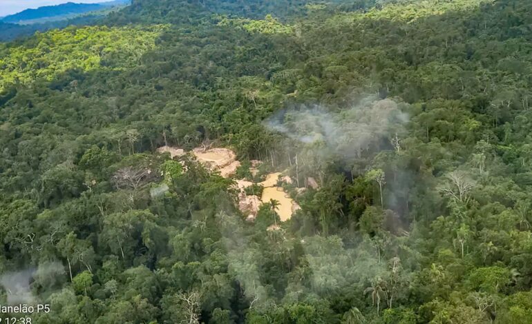 Comissão do Senado aprova porte de arma a agentes da Funai
