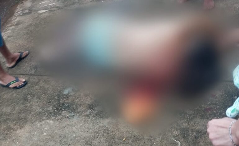 mulher-suspeita-de-matar-companheiro-a-facadas-se-entrega-a-policia-apos-semanas-foragida