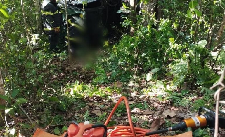 motorista-morre-apos-carro-sair-da-pista-e-bater-em-arvore-na-br-153