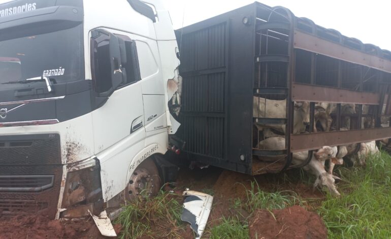 carreta-de-dois-andares-carregada-com-mais-de-100-bois-tomba-na-br-153