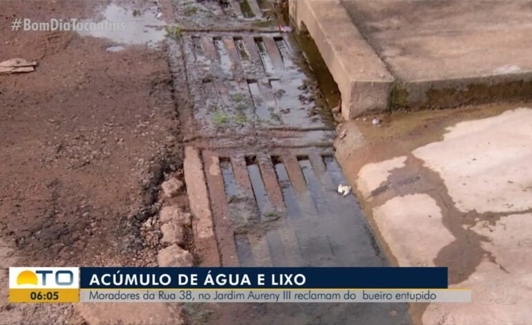 video:-bom-dia-tocantins-de-quarta-feira,-24-de-janeiro-de-2024