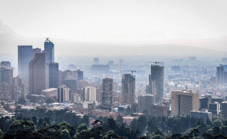 vegetacao-invasora-alimenta-grandes-incendios-em-bogota
