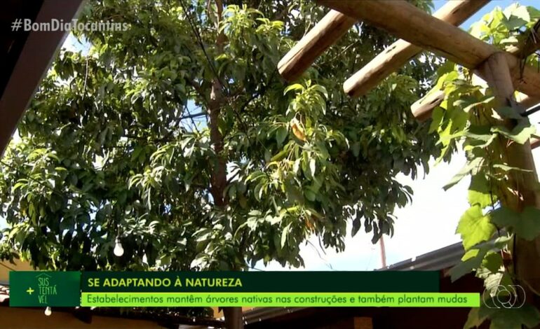 video:-bom-dia-tocantins-de-quarta-feira,-21-de-fevereiro-de-2024