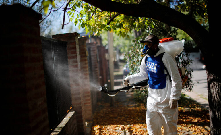 argentina-vive-explosao-de-casos-de-dengue-e-invasao-de-mosquitos