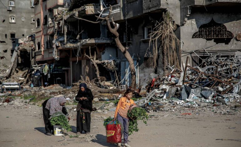 eua-dizem-que-mais-de-25-mil-mulheres-e-criancas-ja-morreram-em-gaza