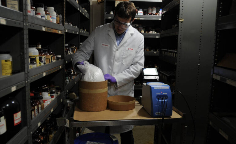 Compota de maçã com chumbo envenena crianças e revela falhas de fiscalização alimentar nos EUA