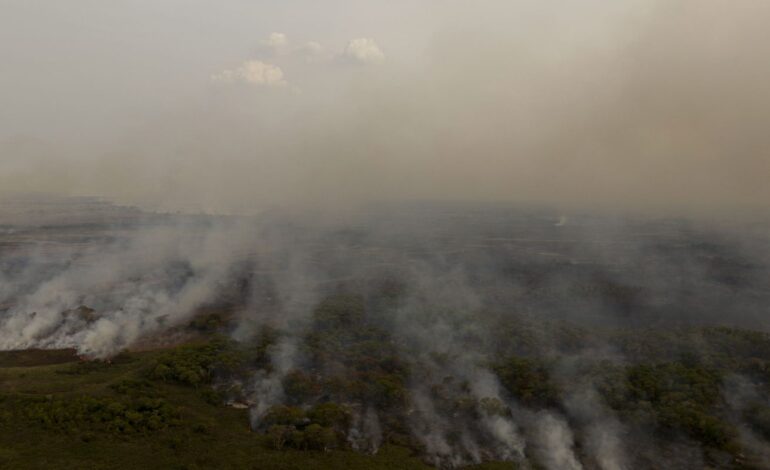 PL que muda Código Florestal vai desproteger 48 milhões de hectares