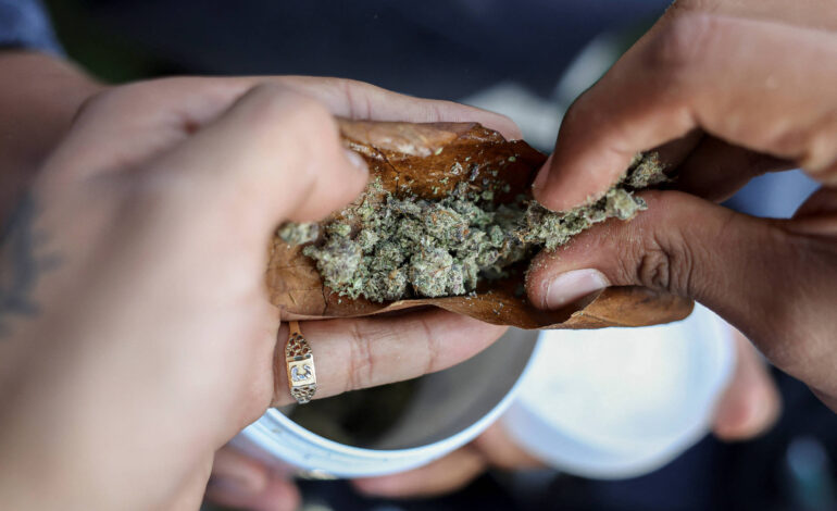 joe-biden-recorre-a-maconha-para-ganhar-jovens-de-volta
