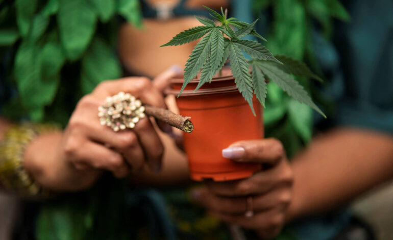 eua-propoem-reclassificar-a-maconha-como-droga-de-baixo-risco