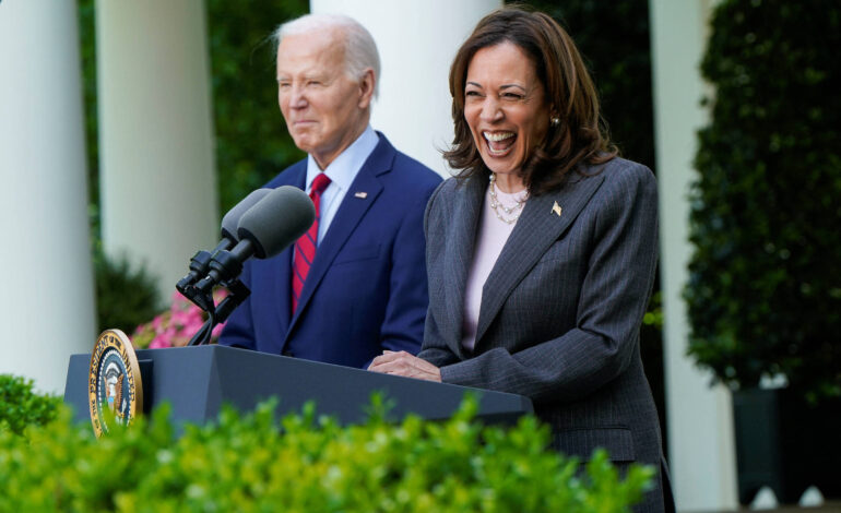 vice-presidente-kamala-nao-e,-nem-deve-ser,-a-‘mae-preta’-dos-americanos