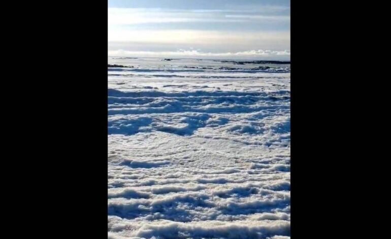 frio-extremo-congela-mar-na-terra-do-fogo