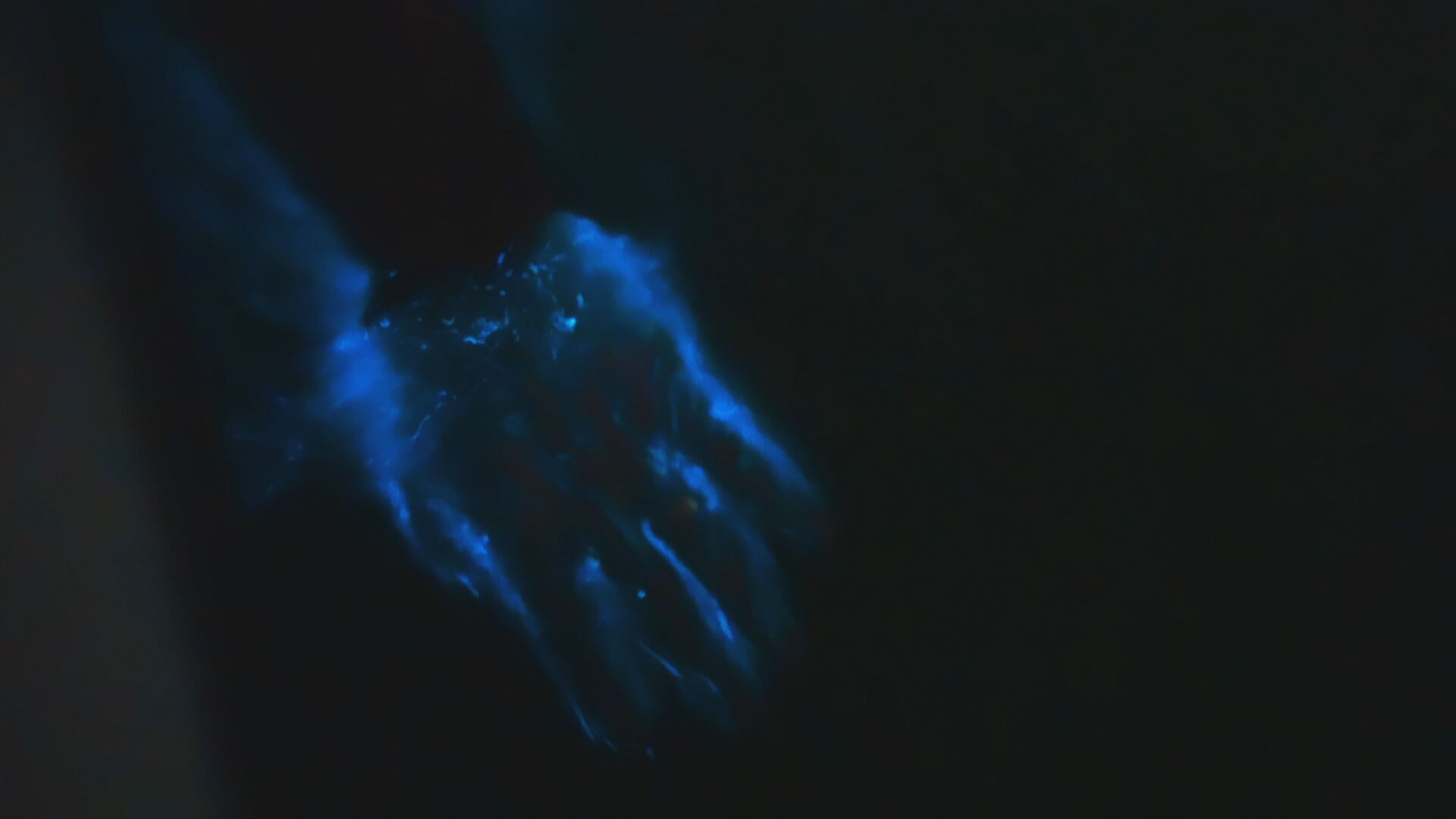 Águas que brilham na escuridão? Entenda fenômeno em mar de Porto Rico