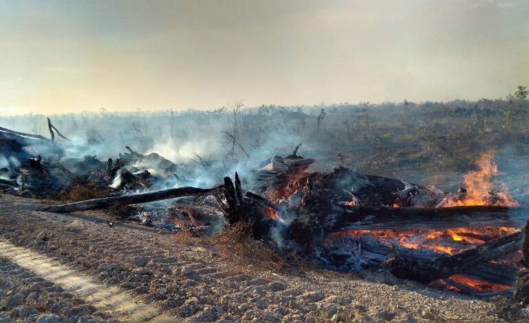 queimadas-no-tocantins-mais-que-dobraram-no-mes-de-agosto,-apontam-dados-do-inpe