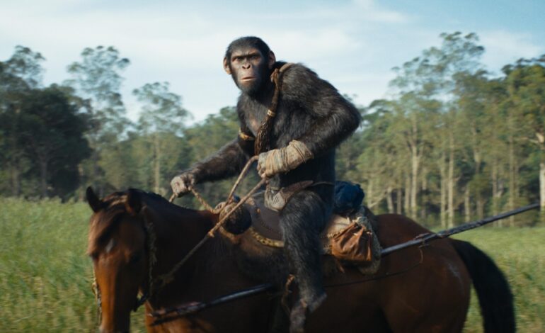 quais-foram-os-filmes-mais-assistidos-pelos-brasileiros-em-agosto?