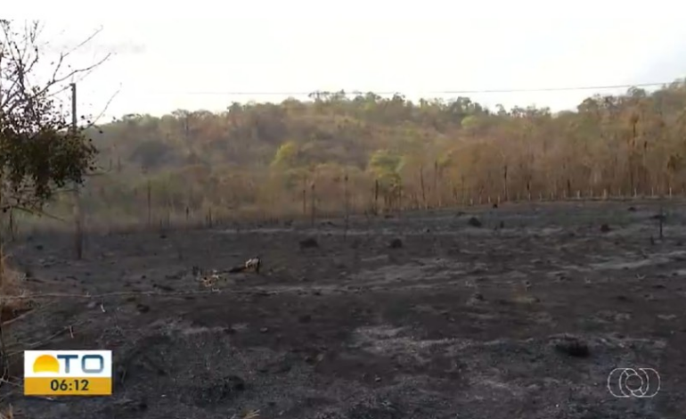 incendio-provoca-destruicao-e-deixa-prejuizos-em-plantacoes:-‘queimou-tudo,-torrou’