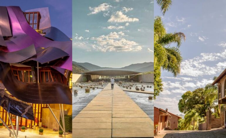 quais-sao-as-melhores-vinicolas-do-mundo?-veja-unica-brasileira-da-lista