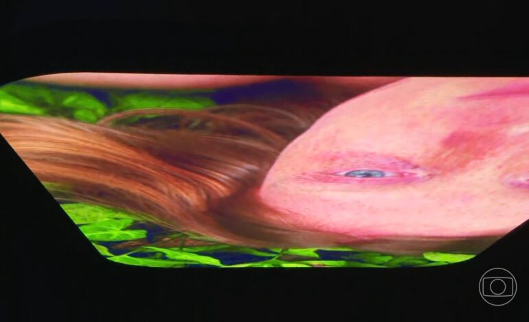 museu-inhotim-recebe-exposicoes-para-compreender-o-tempo-e-preservacao-do-meio-ambiente