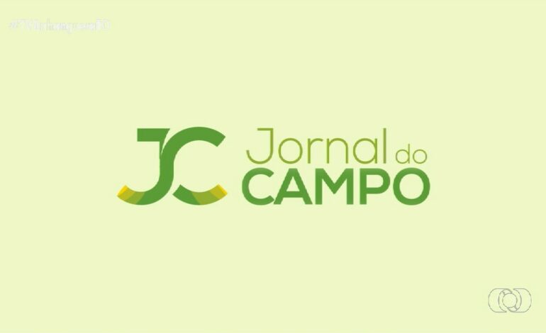 VÍDEOS: Jornal do Campo – TO de domingo, 17 de novembro de 2024