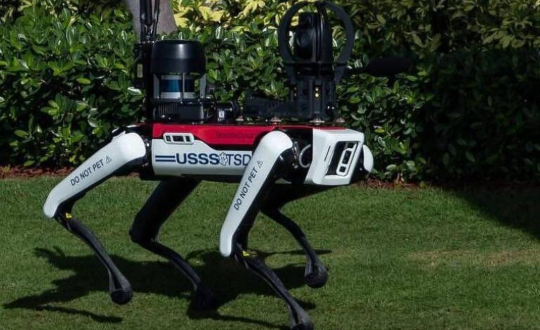 por-que-caes-robos-estao-patrulhando-a-casa-de-trump?