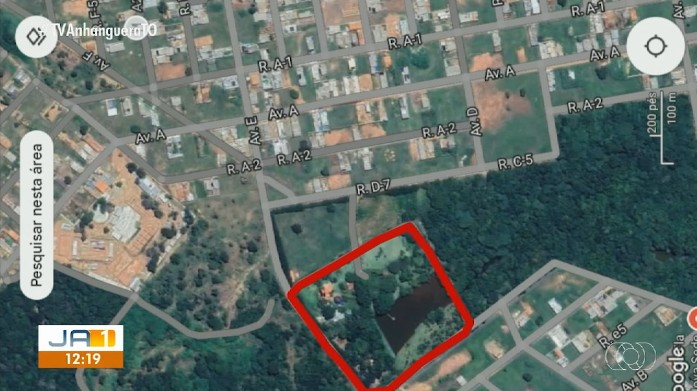 justica-determina-desocupacao-de-area-verde-onde-homem-cria-gado-em-gurupi