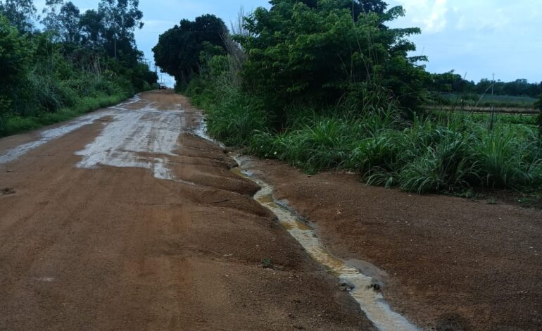 guarda-metropolitana-ambiental-flagra-vazamento-de-esgoto-e-autua-brk-em-mais-de-r$-36-milhoes