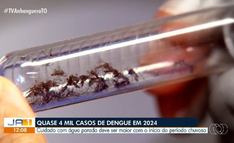 videos:-jornal-anhanguera-1a-edicao-to-de-2-de-dezembro-de-2024