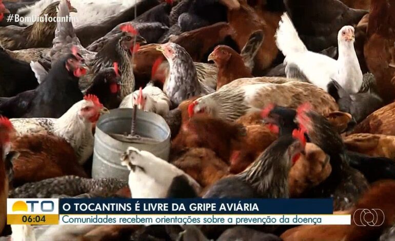 videos:-bom-dia-tocantins-de-quarta-feira,-4-de-dezembro-de-2024