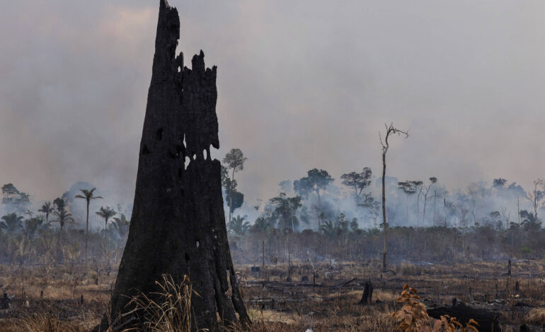 como-os-brasileiros-percebem-a-emergencia-climatica?