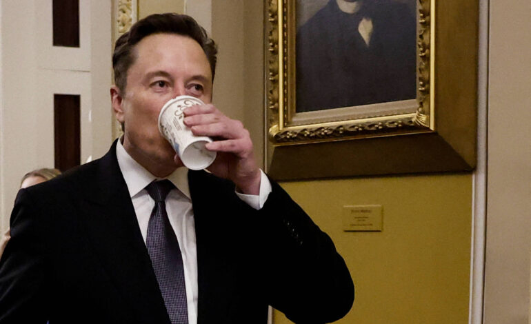 musk-elogia-partido-alemao-acusado-de-associacao-com-neonazismo
