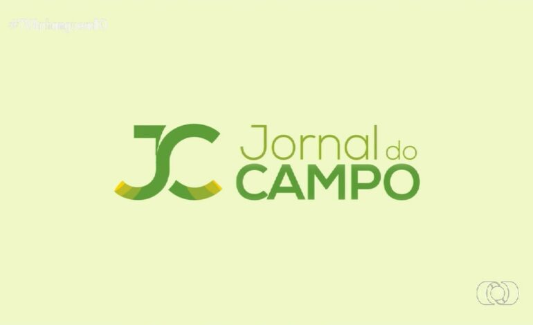 videos:-jornal-do-campo-to-de-domingo,-12-de-janeiro-de-2025