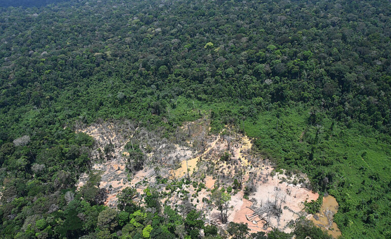 brasil-e-franca-selam-acordo-para-mapear-‘dna-do-ouro’-que-sai-da-guiana-francesa
