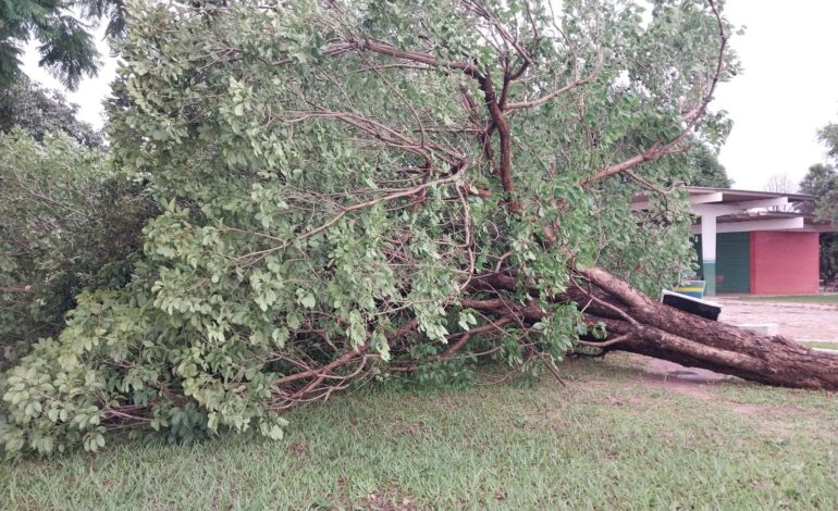 inmet-emite-alerta-de-tempestade-para-quase-todas-as-regioes-do-tocantins