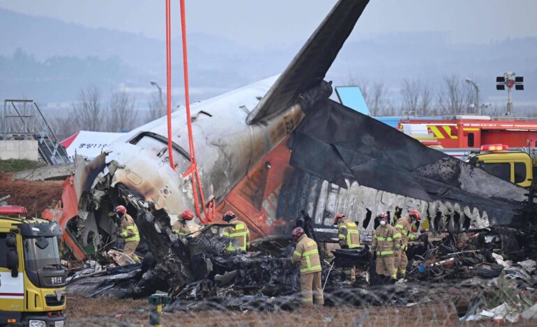 coreia-do-sul-acha-dna-de-pato-em-motores-de-aviao-que-explodiu-e-matou-179