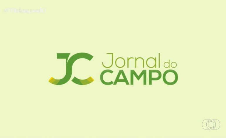 videos:-jornal-do-campo-–-to-de-domingo,-9-de-fevereiro-de-2025