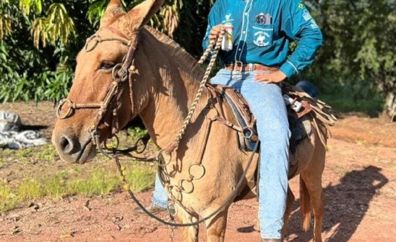 jovem-morto-em-acidente-que-fez-carro-partir-ao-meio-sonhava-em-ser-dj-de-vaquejadas,-diz-amigo