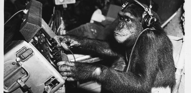quem-foi-chita,-chimpanze-citada-por-presidente-da-conmebol