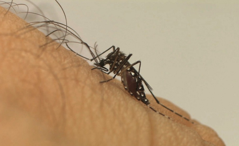morte-de-idosa-por-suspeita-de-dengue-e-investigada-no-tocantins,-diz-secretaria-da-saude 