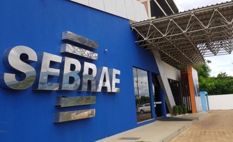 sebrae-abre-selecao-para-contratar-analista-tecnico-com-salario-de-r$-5,2-mil