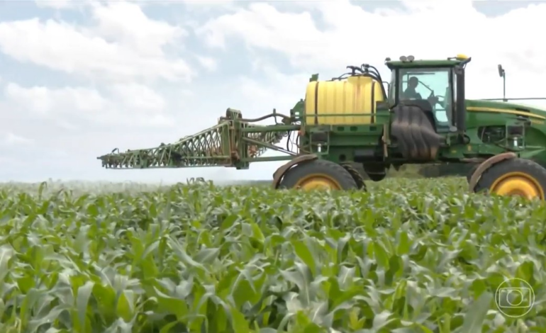 agricultores-apostam-em-bioinsumos-com-formulas-naturais-para-ajudar-a-proteger-lavouras