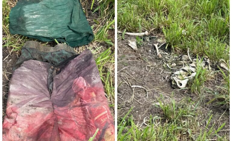 ossada-humana-e-encontrada-em-fazenda-na-zona-rural-de-colinas-do-tocantins