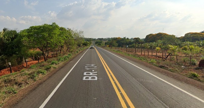 motorista-mata-cavalos-em-rodovia-do-tocantins-e-deixa-local-de-carona,-dizem-testemunhas