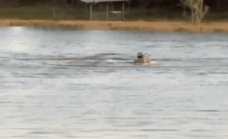 video-mostra-canoa-girando-sozinha-apos-dois-homens-cairem-em-lago-e-morrerem